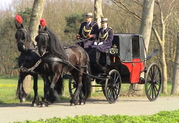 rouwkoets