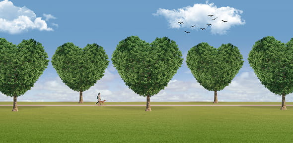 herinneringsbos header