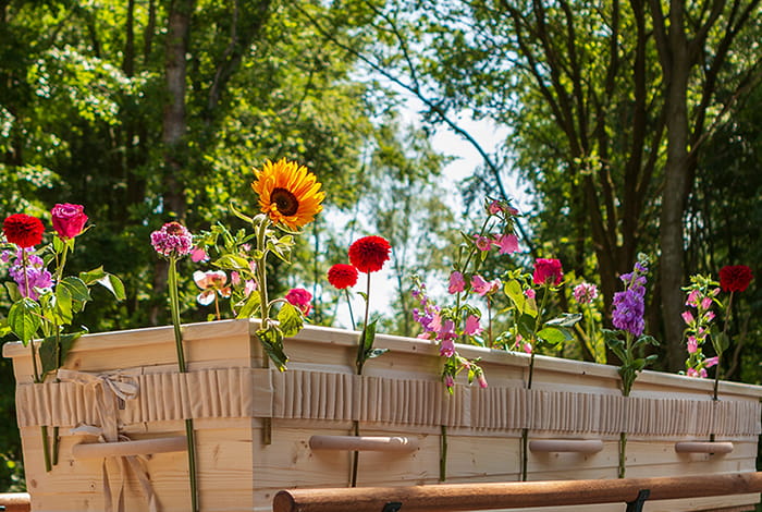 Nabestaanden steken losse bloemen in een bloemenband rondom een uitvaartkist tijdens een persoonlijk afscheid.