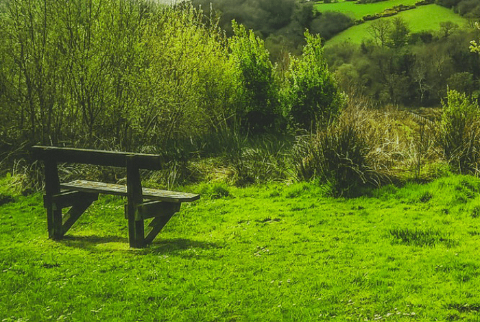 Désamorcer les conflits pour des adieux paisibles