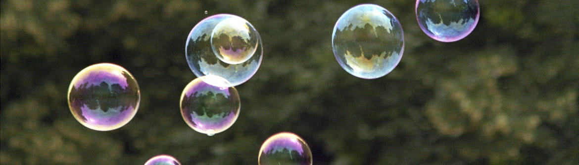 funérailles écologiques